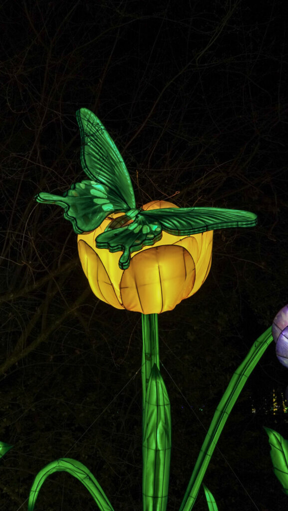 China Lights im K&ouml;lner Zoo