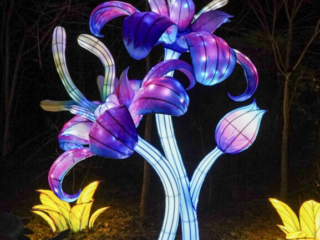 China Lights im K&ouml;lner Zoo