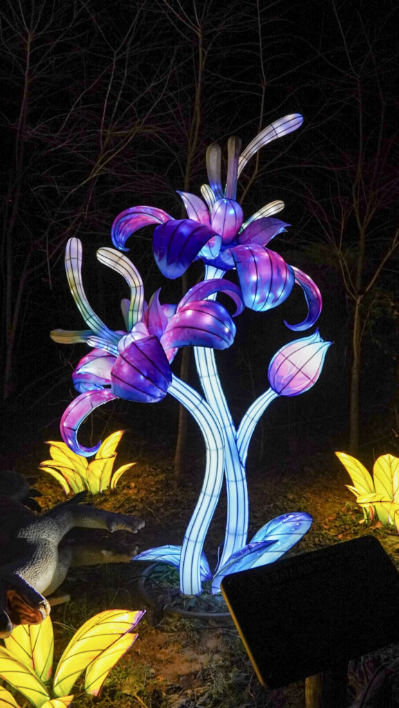 China Lights im K&ouml;lner Zoo