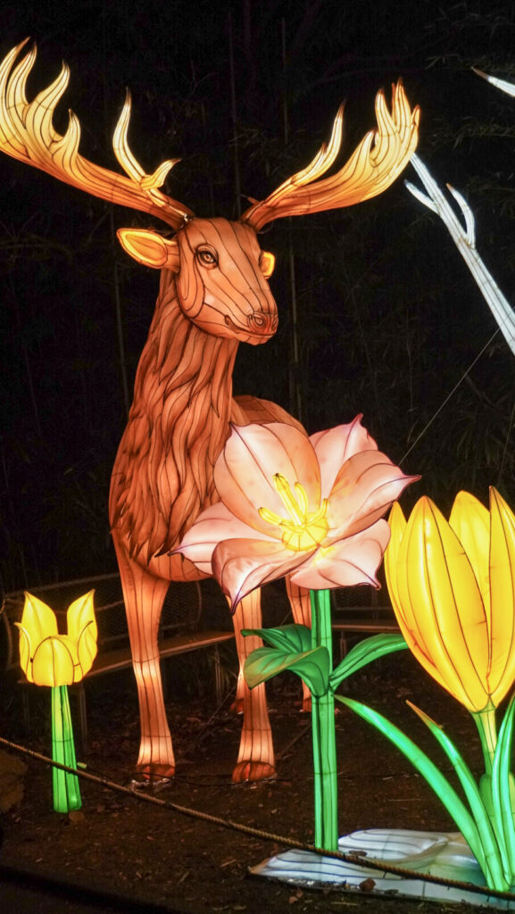 China Lights im K&ouml;lner Zoo