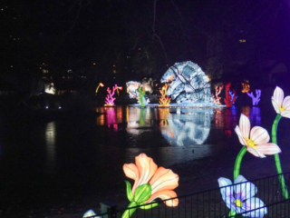 China Lights im K&ouml;lner Zoo