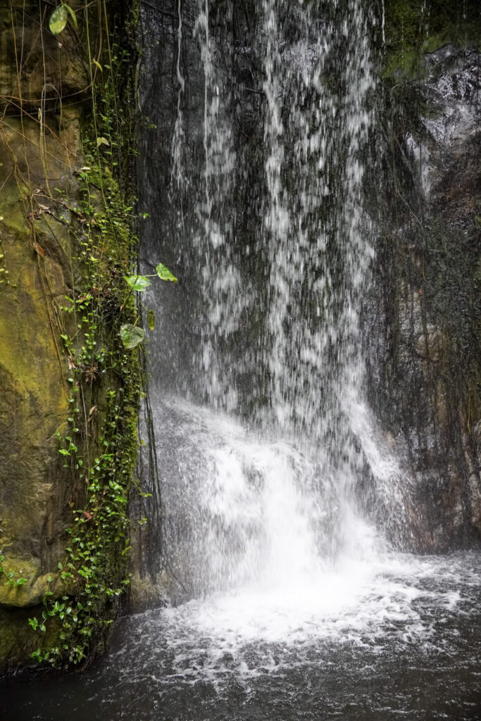 Burgers' Zoo Burgers' Zoo