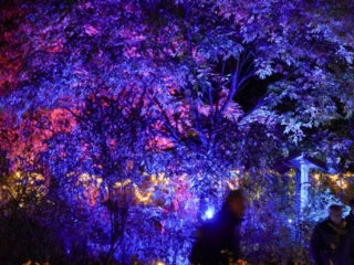 Herbstlichter Brückenkopfpark Jülich Herbstlichter Brückenkopfpark Jülich