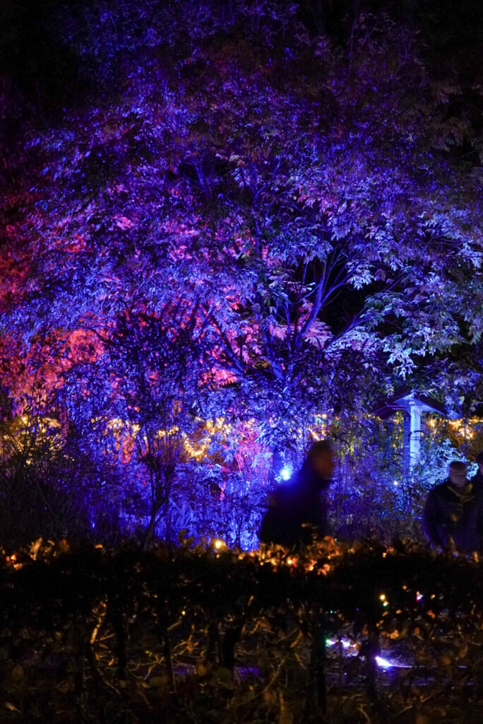 Herbstlichter Br&uuml;ckenkopfpark J&uuml;lich