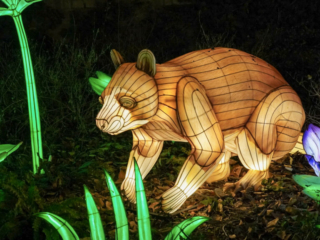 China Lights im K&ouml;lner Zoo
