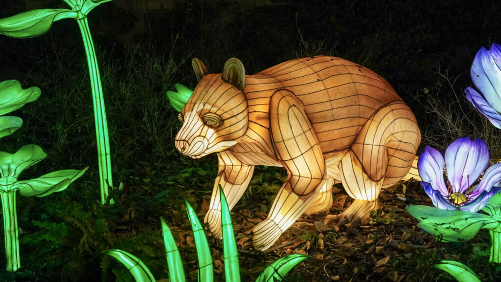 China Lights im K&ouml;lner Zoo