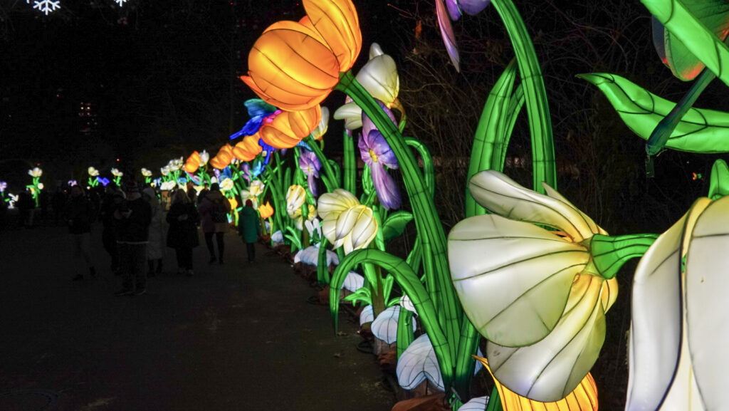 China Lights im K&ouml;lner Zoo