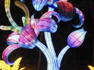 China Lights im K&ouml;lner Zoo
