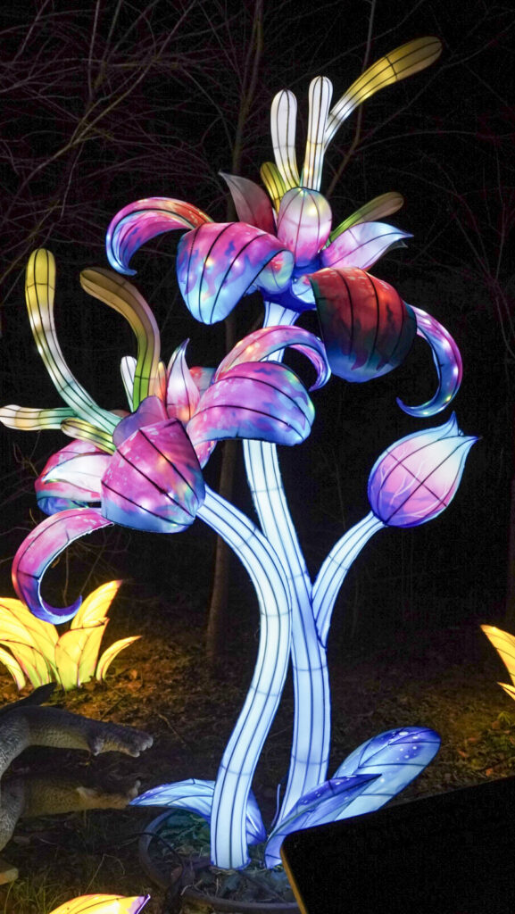 China Lights im K&ouml;lner Zoo