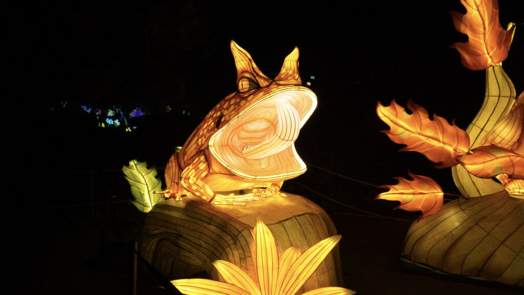 China Lights im K&ouml;lner Zoo