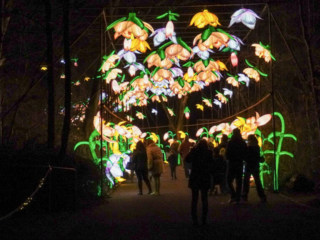 China Lights im K&ouml;lner Zoo