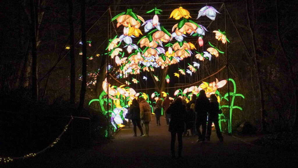 China Lights im K&ouml;lner Zoo