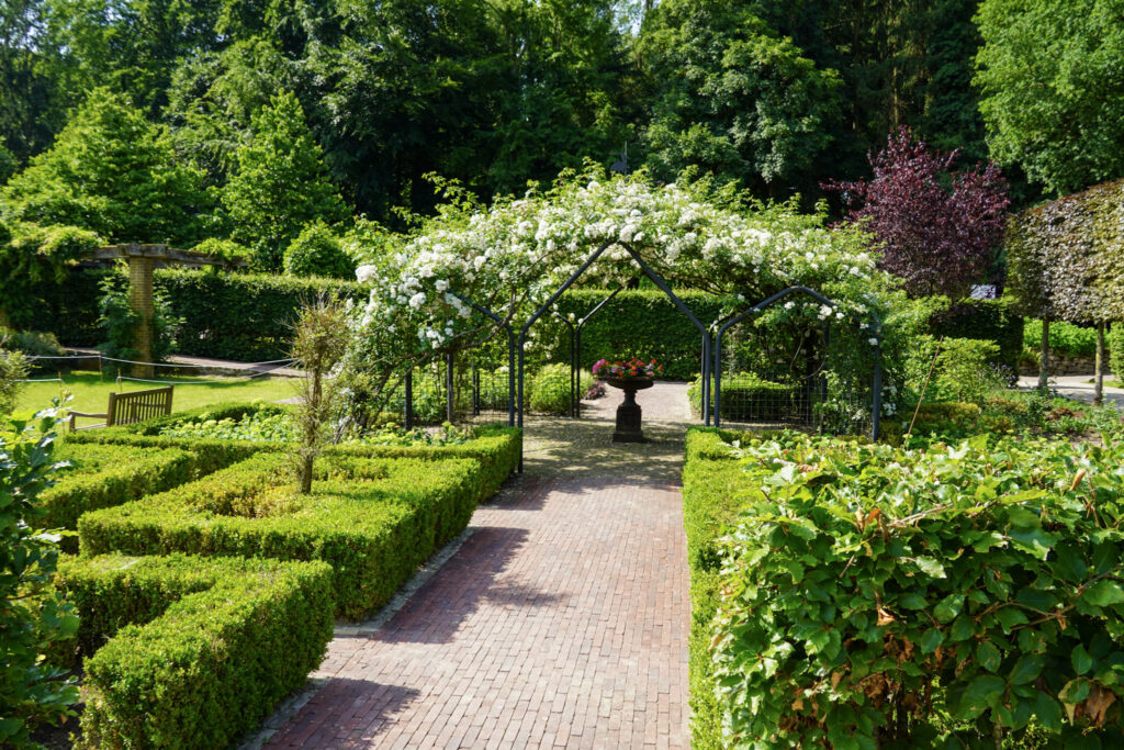 El Mundo Fantasia - Mondo Verde