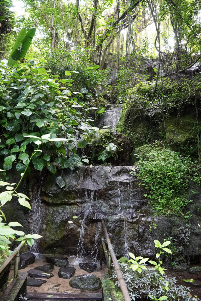 Burgers' Zoo Burgers' Zoo