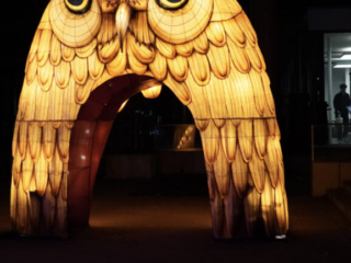 China Lights im K&ouml;lner Zoo