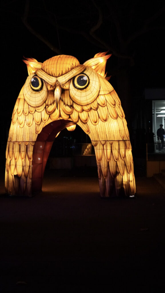 China Lights im K&ouml;lner Zoo