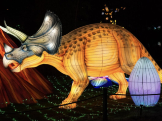 China Lights im K&ouml;lner Zoo