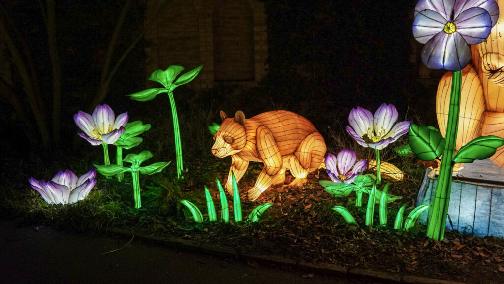 China Lights im K&ouml;lner Zoo