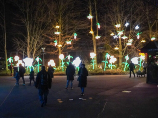 China Lights im K&ouml;lner Zoo