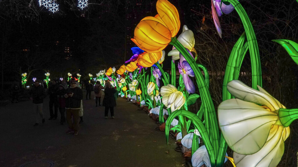 China Lights im K&ouml;lner Zoo