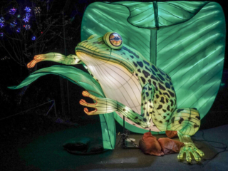 China Lights im K&ouml;lner Zoo