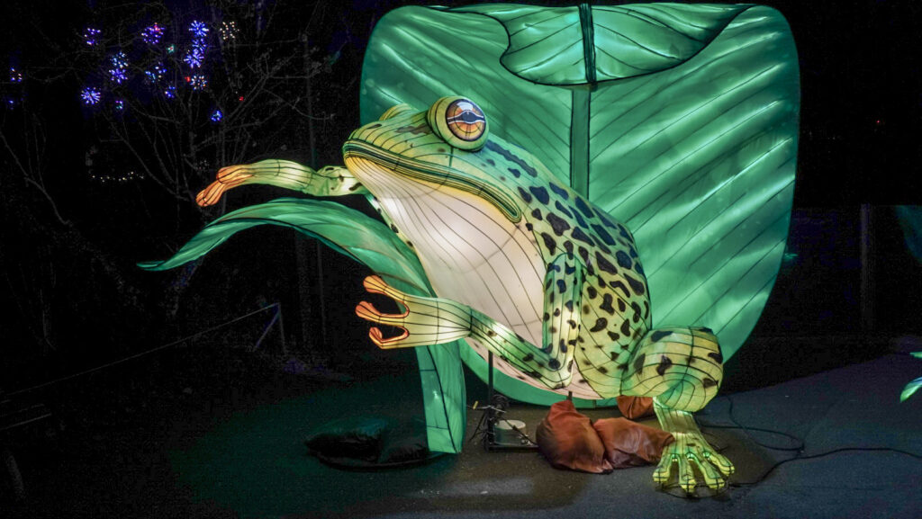 China Lights im K&ouml;lner Zoo