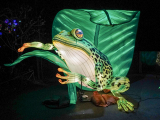 China Lights im K&ouml;lner Zoo