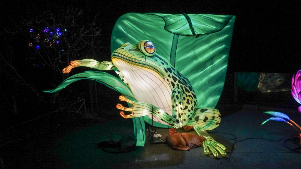 China Lights im K&ouml;lner Zoo