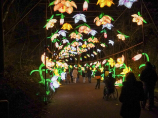 China Lights im K&ouml;lner Zoo