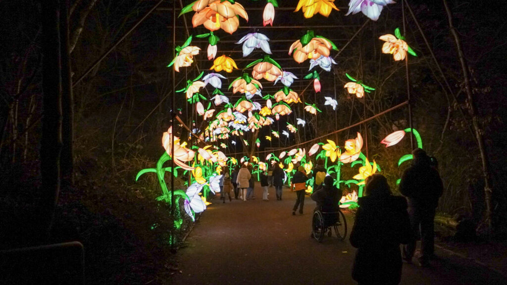China Lights im K&ouml;lner Zoo