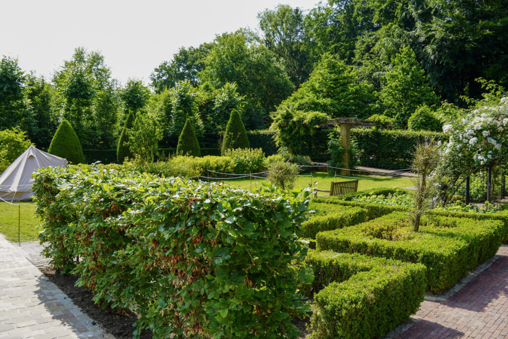 El Mundo Fantasia - Mondo Verde