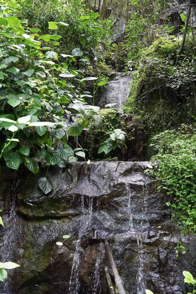 Burgers' Zoo Burgers' Zoo