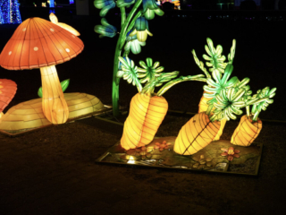 Garden of Lights Garden of Lights