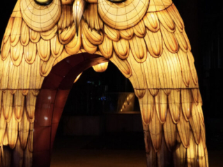 China Lights im K&ouml;lner Zoo