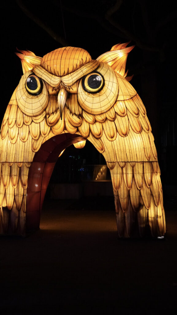China Lights im K&ouml;lner Zoo