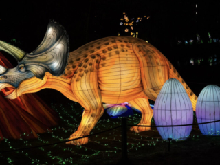 China Lights im K&ouml;lner Zoo