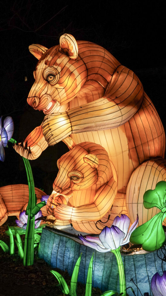 China Lights im K&ouml;lner Zoo