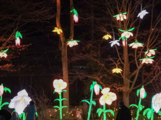 China Lights im K&ouml;lner Zoo