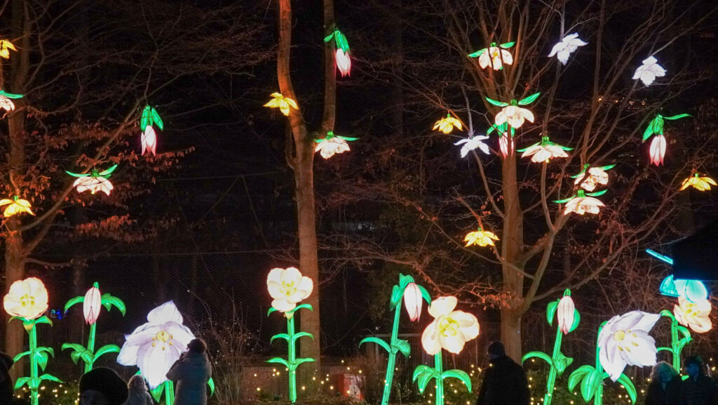 China Lights im K&ouml;lner Zoo