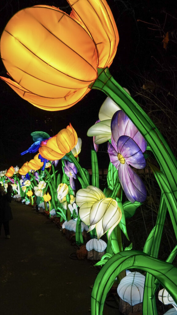 China Lights im K&ouml;lner Zoo
