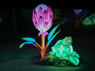 China Lights im K&ouml;lner Zoo