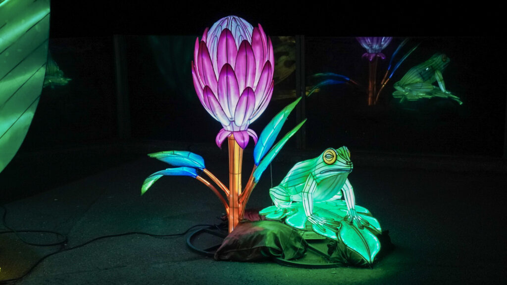 China Lights im K&ouml;lner Zoo