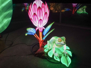 China Lights im K&ouml;lner Zoo