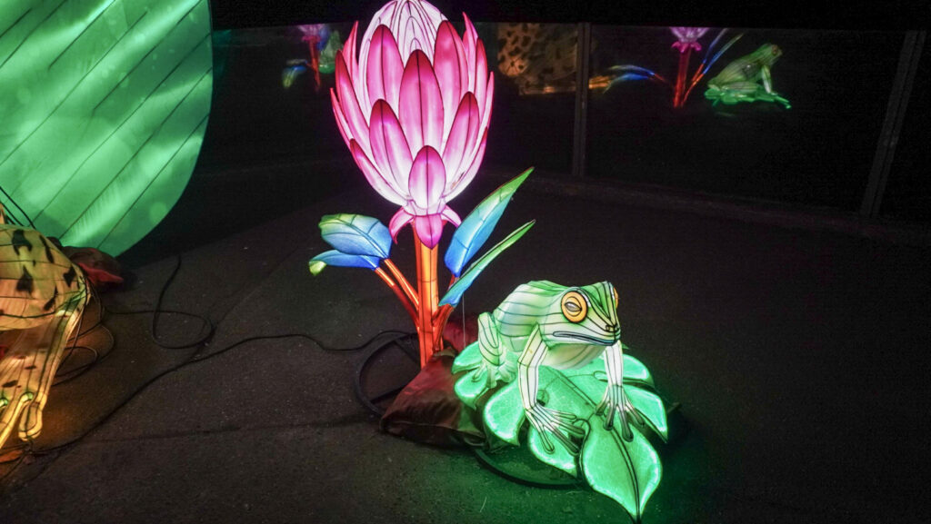 China Lights im K&ouml;lner Zoo