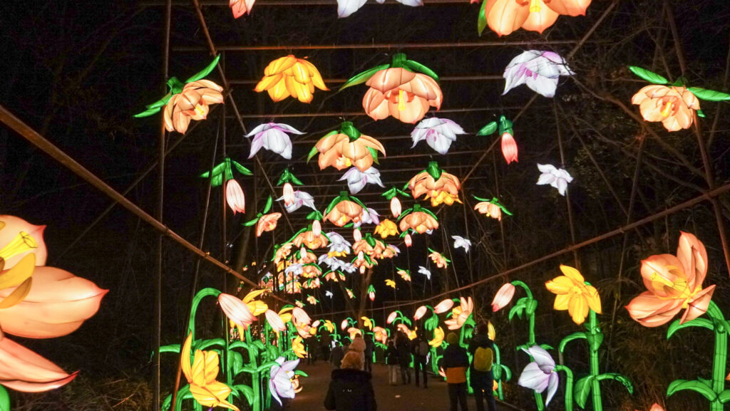 China Lights im K&ouml;lner Zoo