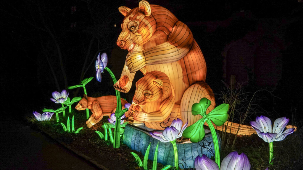 China Lights im K&ouml;lner Zoo