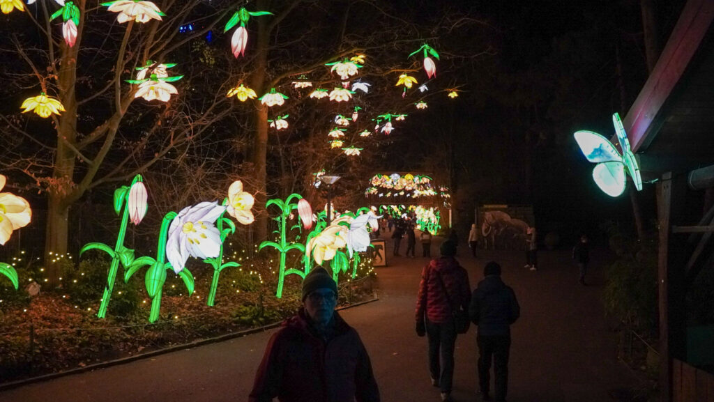 China Lights im K&ouml;lner Zoo