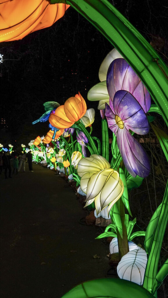 China Lights im K&ouml;lner Zoo