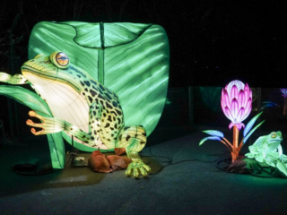 China Lights im K&ouml;lner Zoo