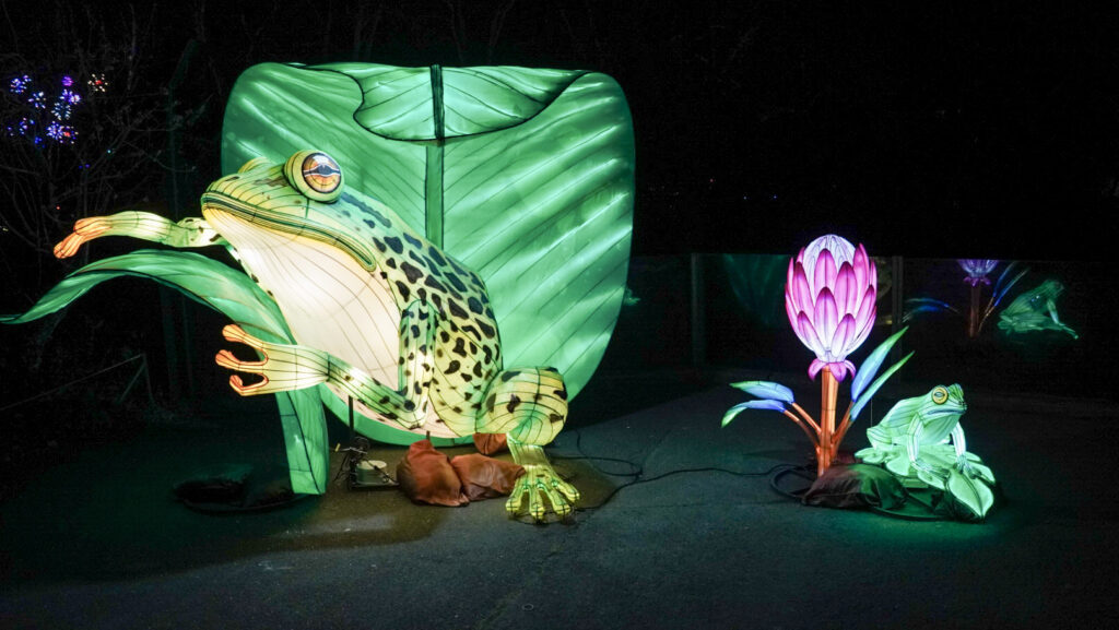 China Lights im K&ouml;lner Zoo